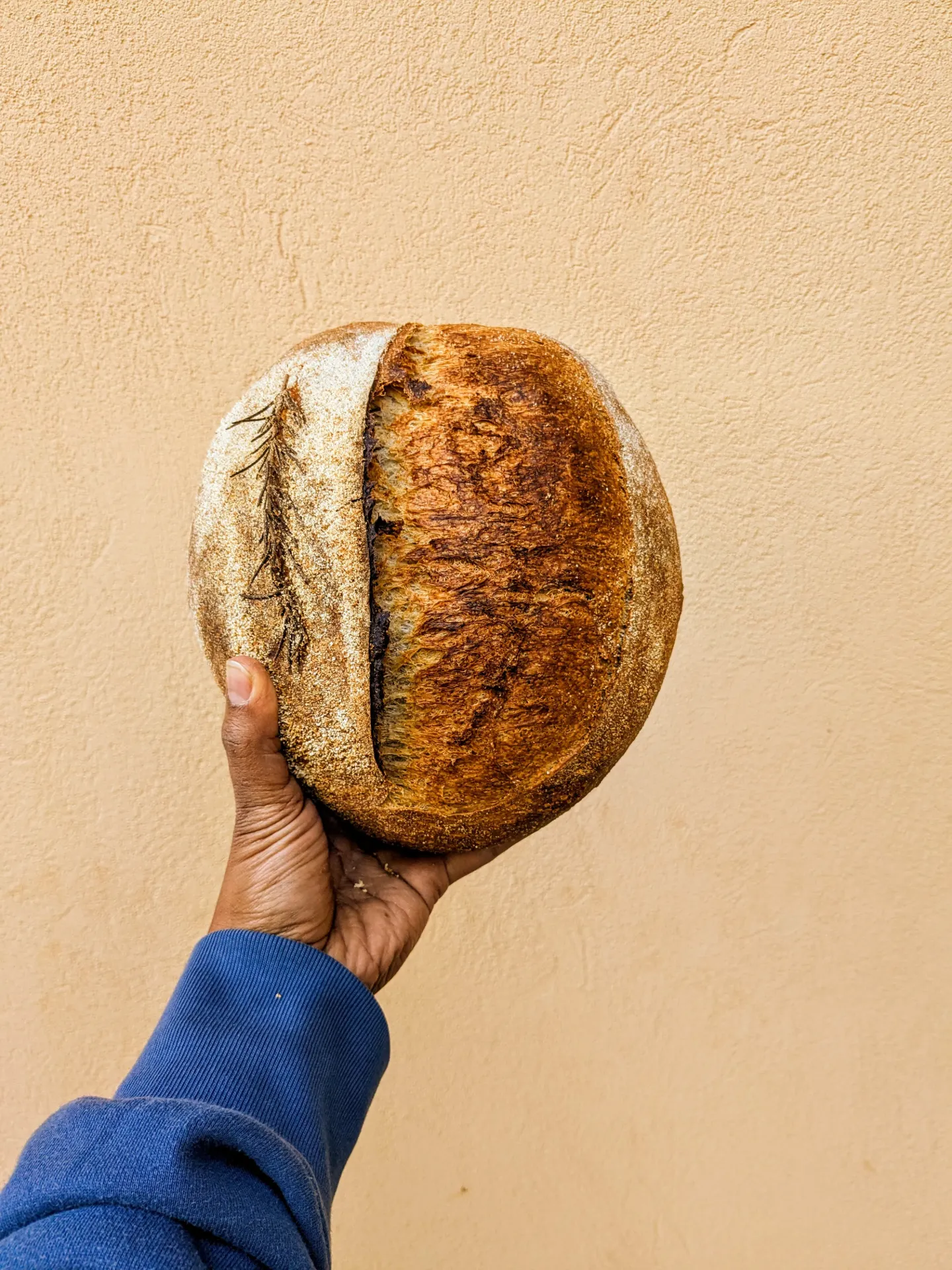Olive Oil Rustic Sourdough