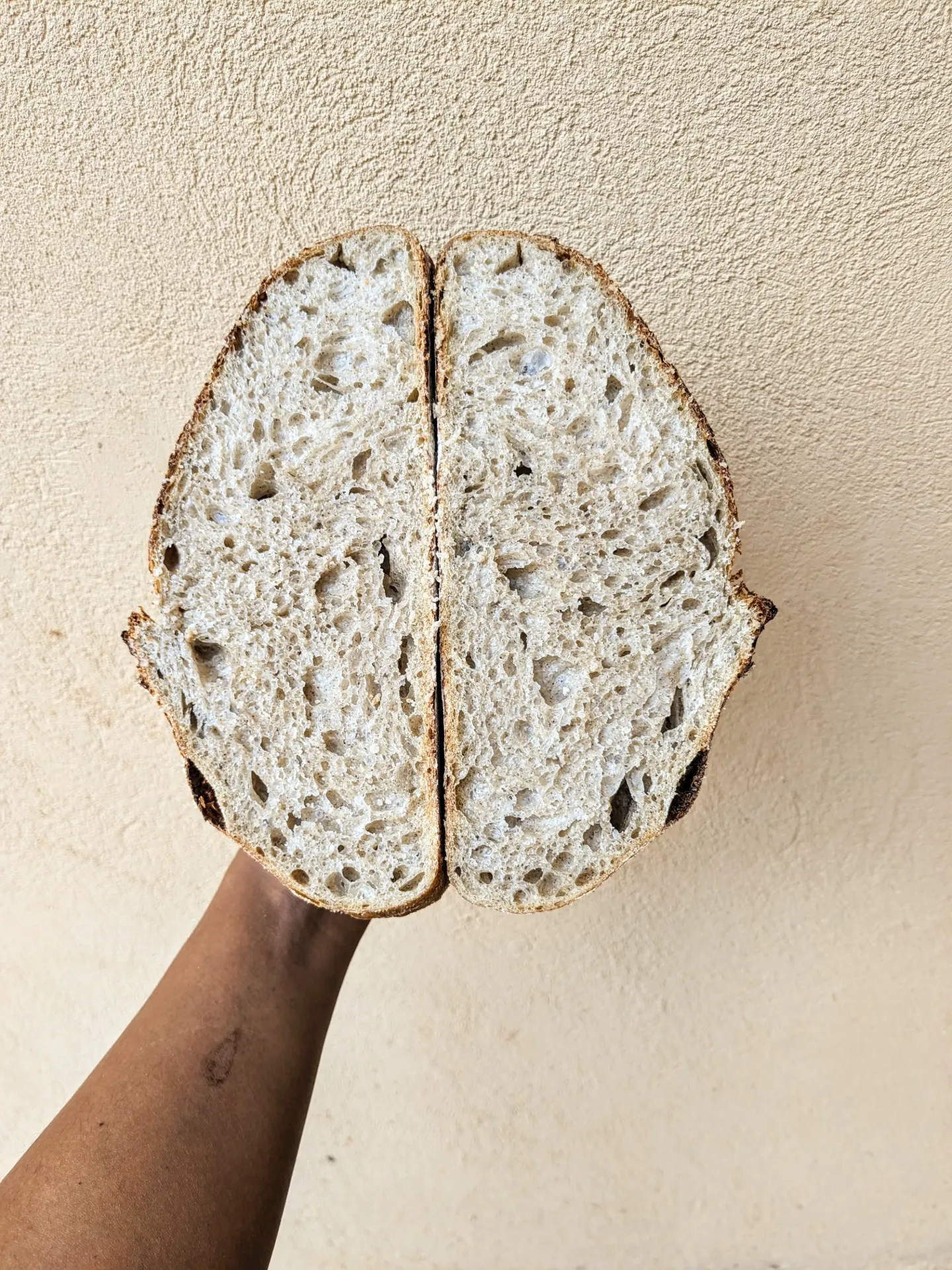 Kenyan Classic Sourdough (Small)