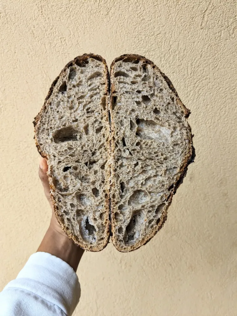 Red Sorghum Sourdough (Small)