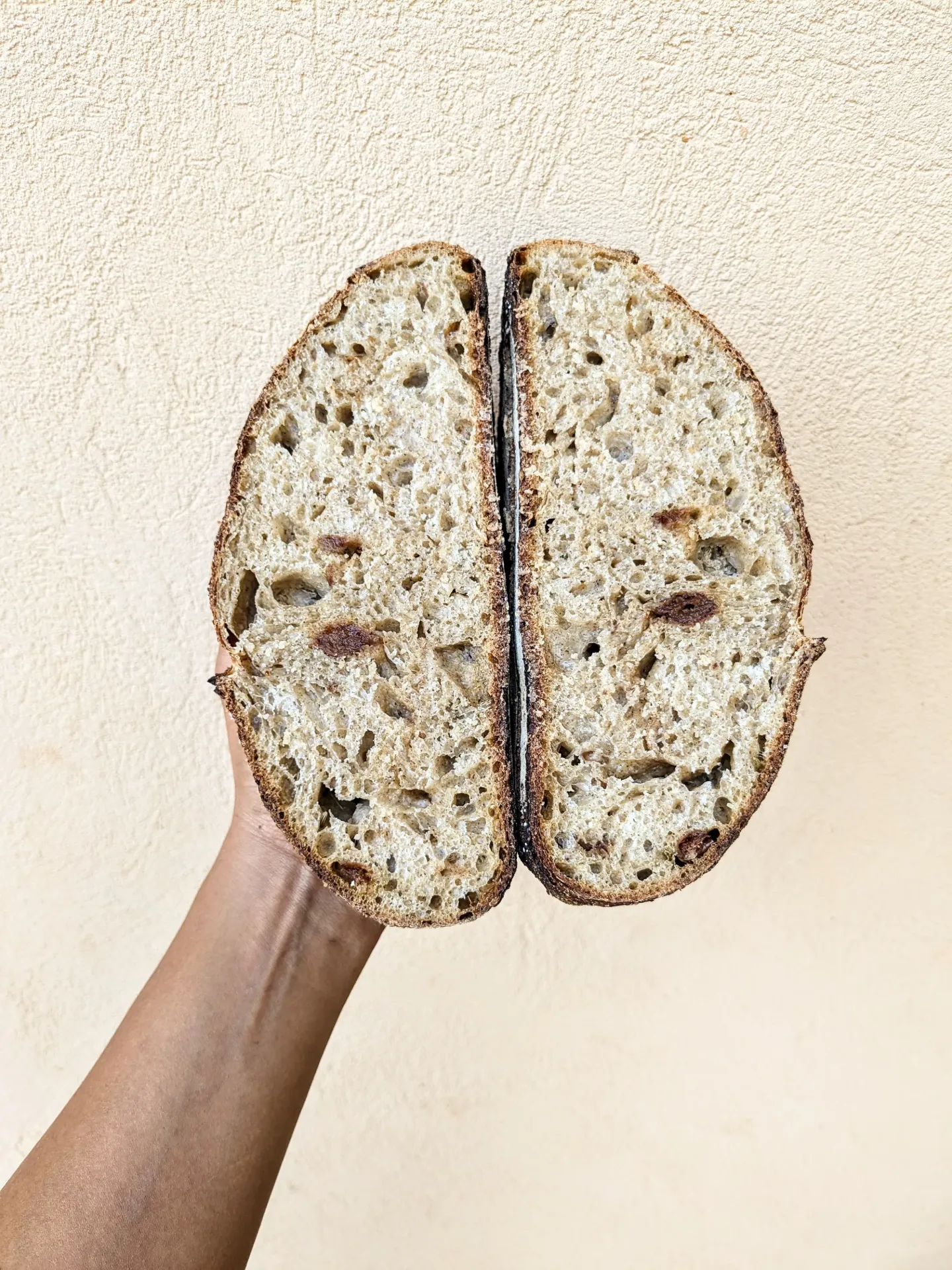 Weekly Special Sourdough (Dark chocolate & cranberry)
